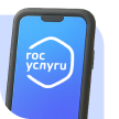 Через Госуслуги