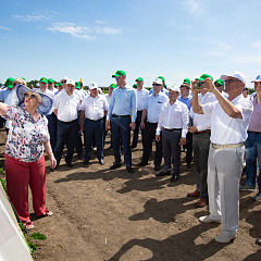 Учхоз "Кубань" принимал гостей со всей Кубани на ежегодное мероприятие "День поля"