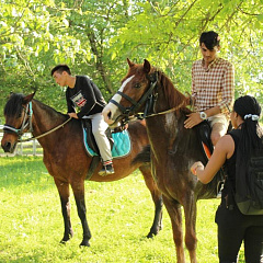 Foreign students visited horse farm
