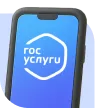 Через Госуслуги