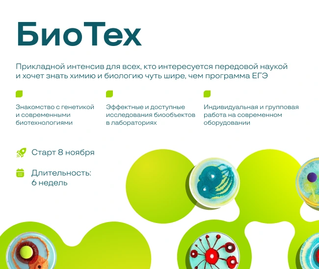 first-slide