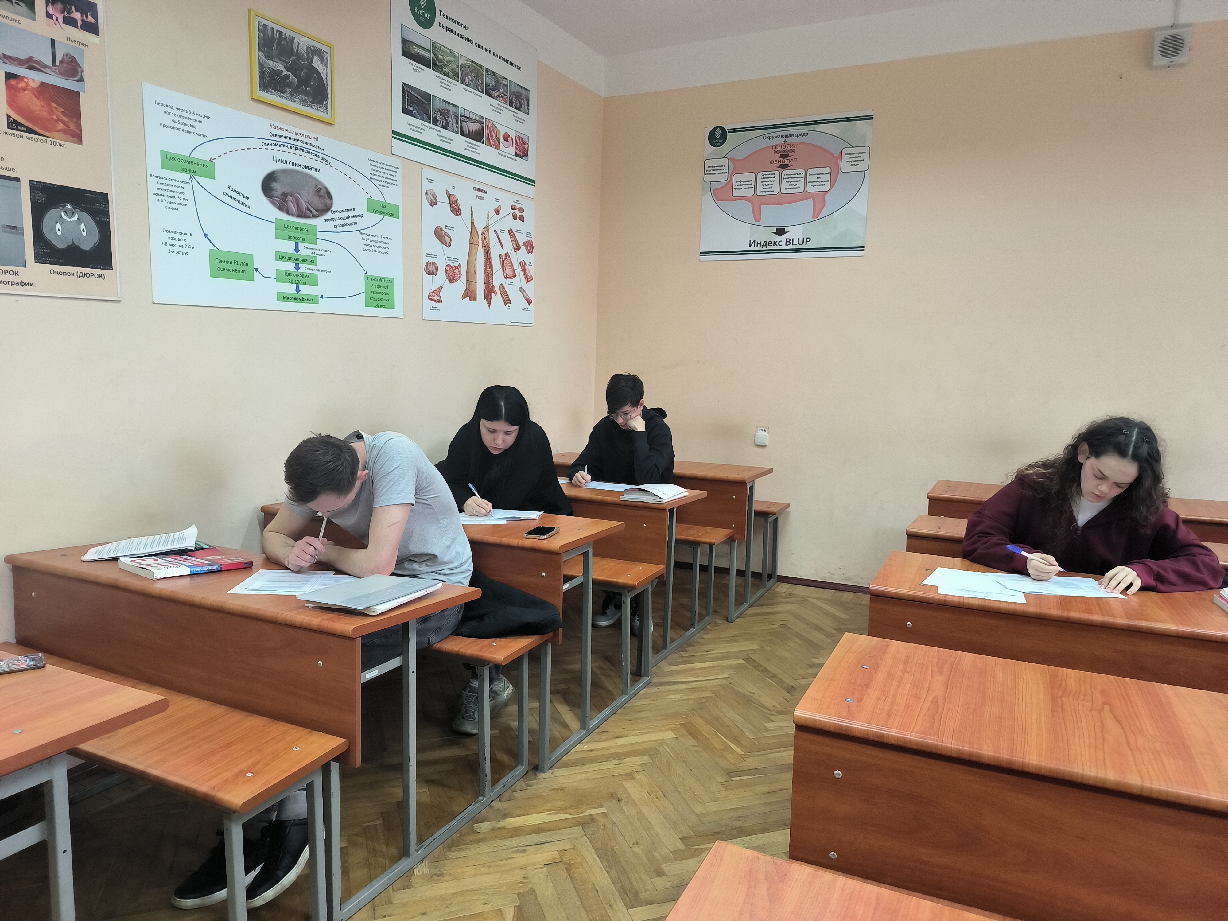  Олимпиада по русскому языку