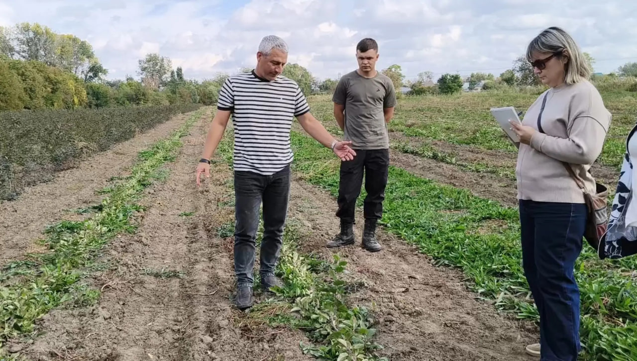 От теории к практике