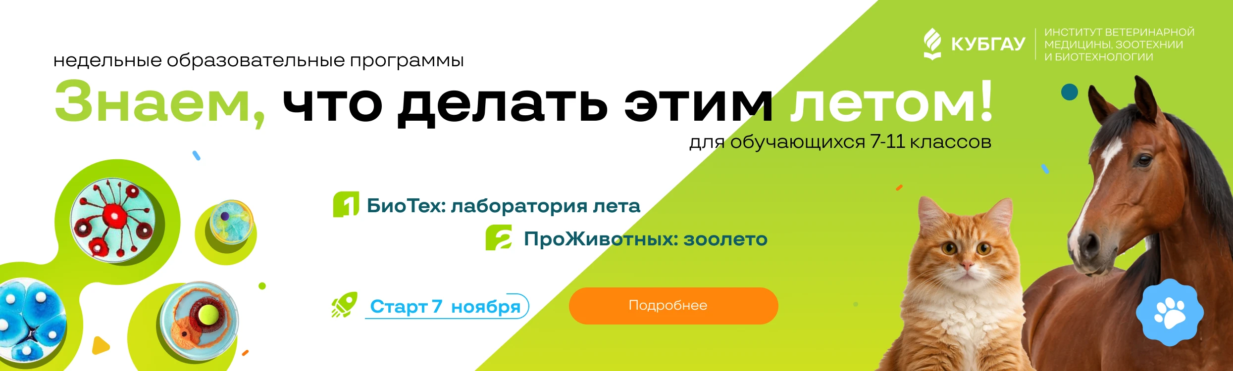 first-slide