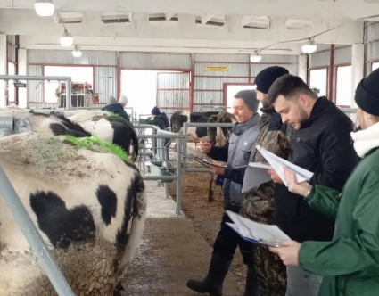 Оцениваем корову глазами эксперта: совершенствуемся вместе с лучшими специалистами отрасли