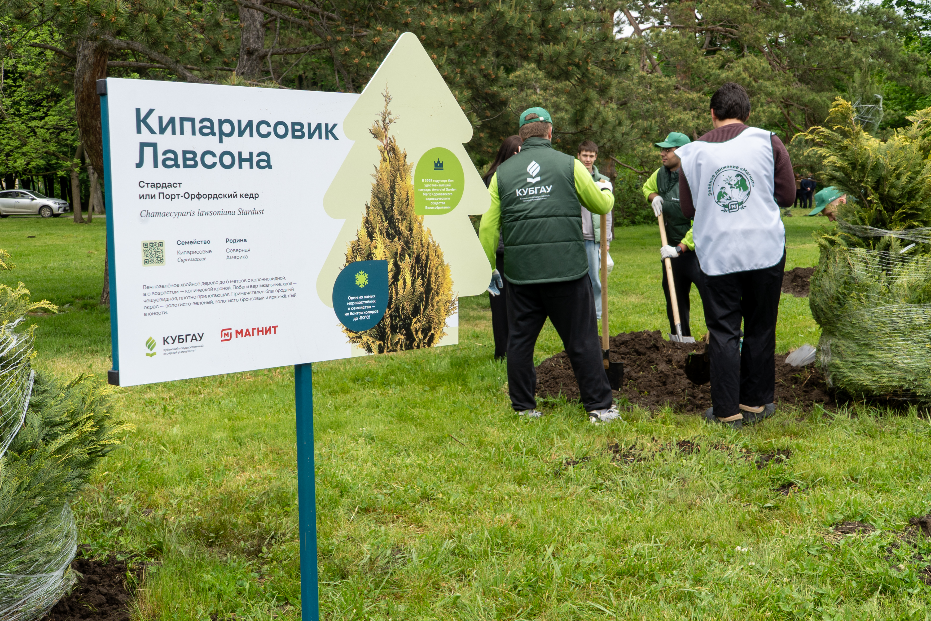 В Ботсаду КубГАУ высадили деревья