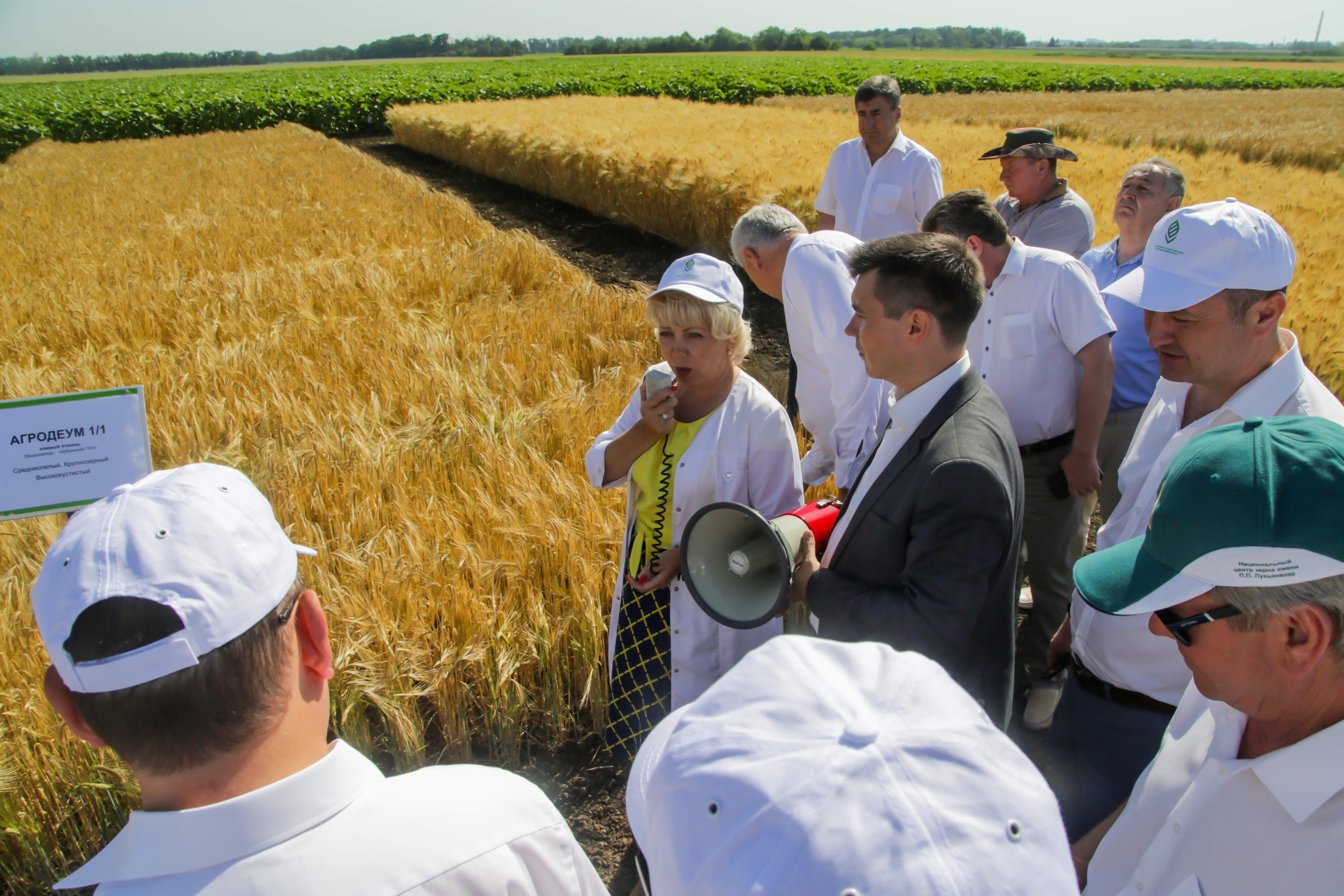 Аграрная программа. Господдержка сельского хозяйства. Инвестор в сельское хозяйство. Сельское хозяйство Агробизнес. Государство и сельское хозяйство.