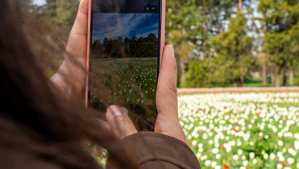 «Тюльпаномагия» в Кубанском ГАУ