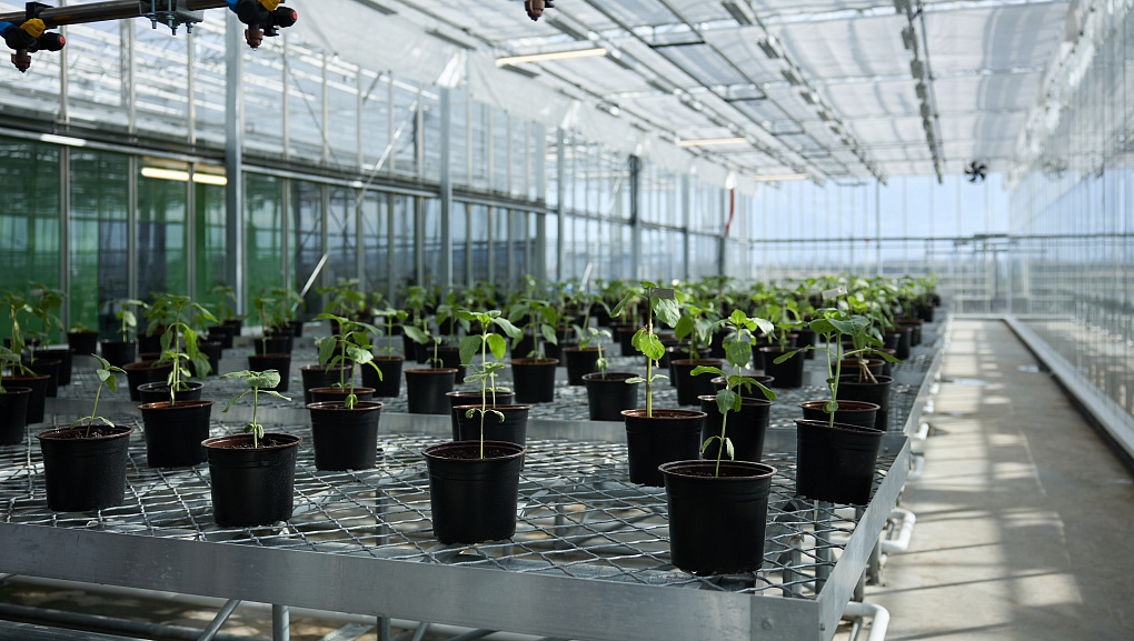 Делегация Кубанского ГАУ приняла участие в выездном совещании главы Минсельхоза РФ в Адыгее