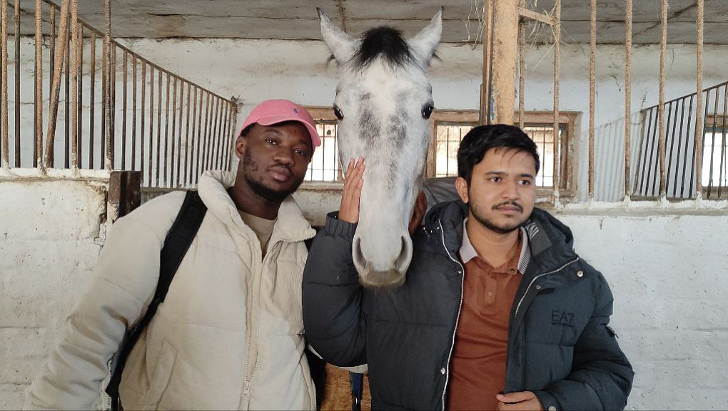 Путешествие иностранцев в конноспортивный клуб