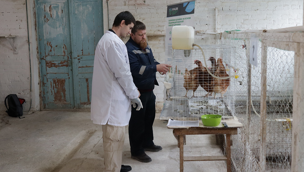 Студенты КУБГАУ изучили методологию научных опытов в Краснодарском научном центре по зоотехнии и ветеринарии