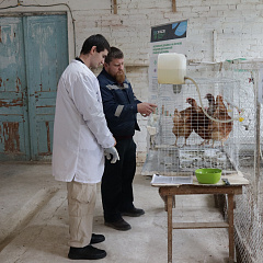 Студенты КУБГАУ изучили методологию научных опытов в Краснодарском научном центре по зоотехнии и ветеринарии