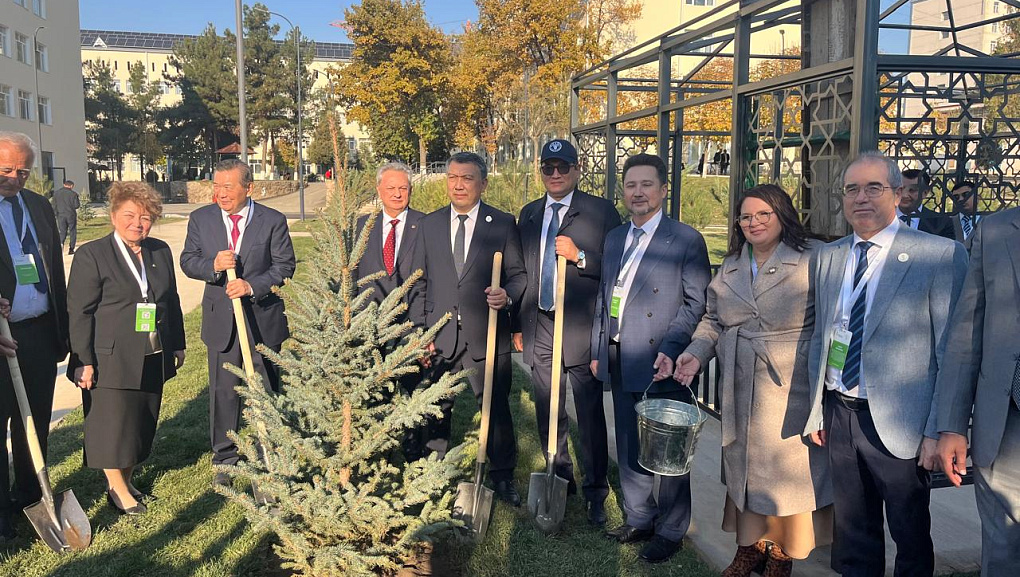 Укрепление международных связей