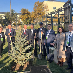 Укрепление международных связей