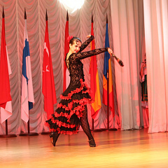 "Europe Day" was celebrated at KubSAU