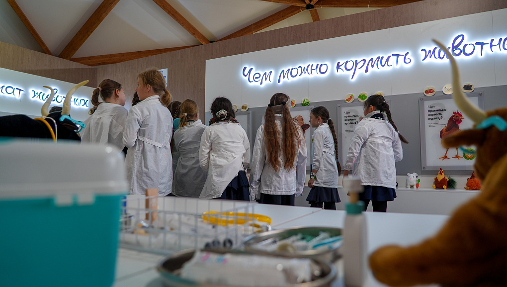 В КубГАУ открылся «Город профессий АПК»