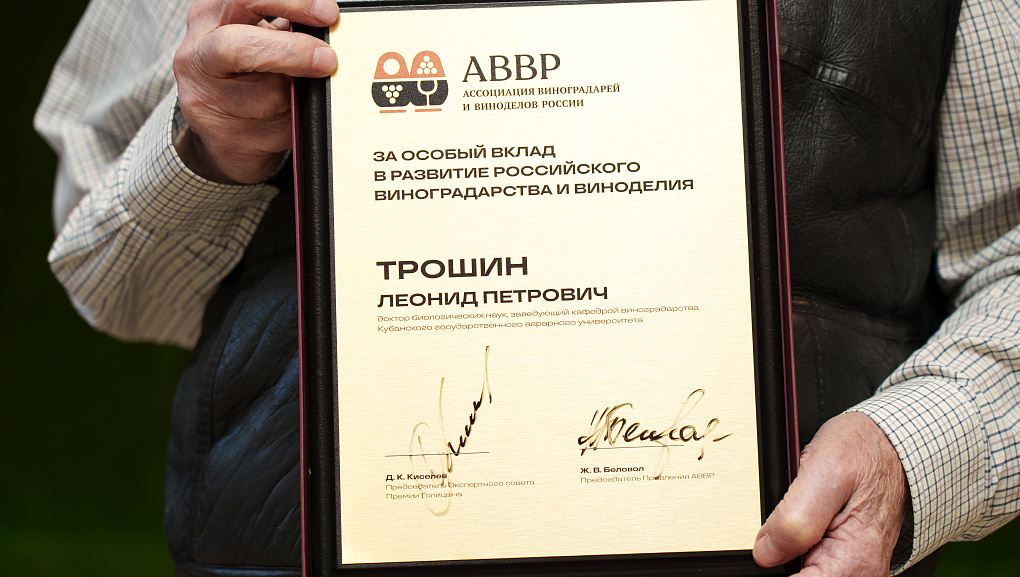 Почётная награда за особый вклад