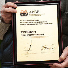 Почётная награда за особый вклад