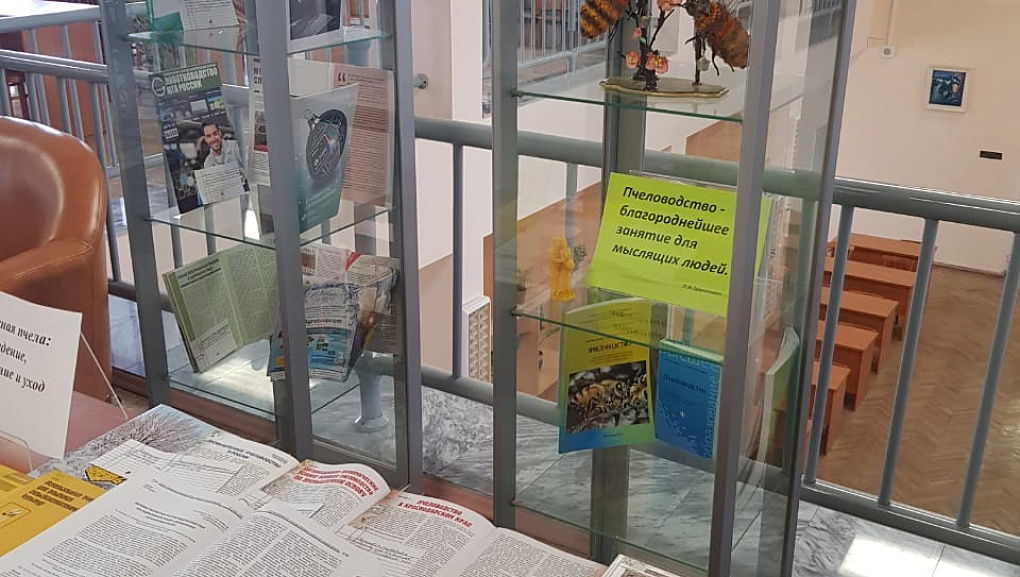 Книжная выставка "В чудесном мире пчёл"