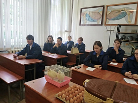Новости