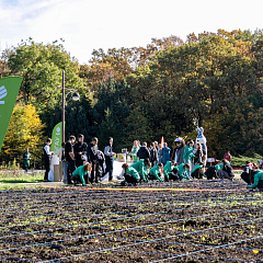 Весна 2026 года в Ботаническом саду КубГАУ будет яркой