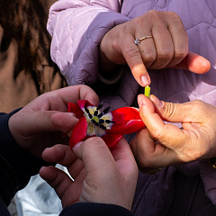 Пять дней погружения в науку