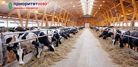 Мы научим как управлять фермой, производящей молочную продукцию!