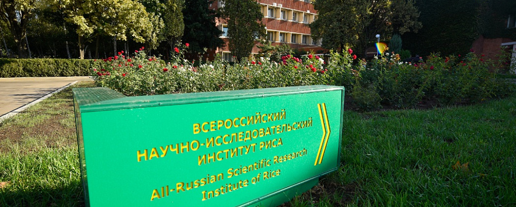Решение экологических проблем при утилизации соломы