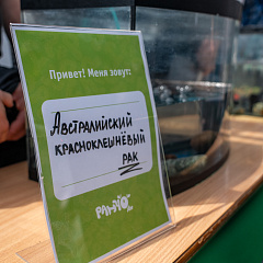 В Кубанском ГАУ открылось ранчо