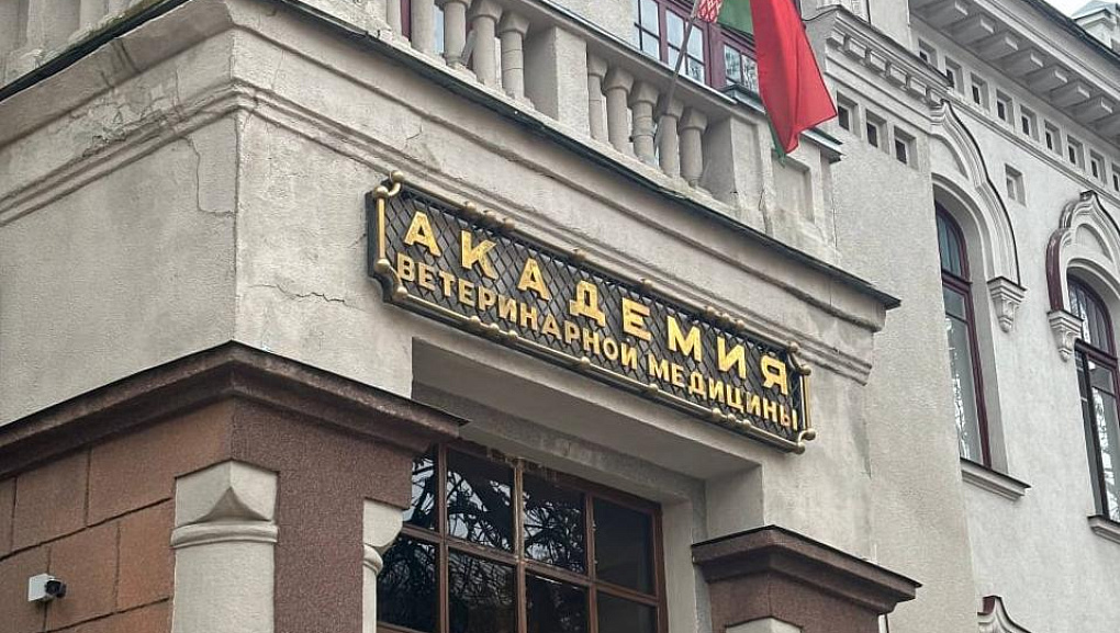 Студенты КубГАУ в Беларуси