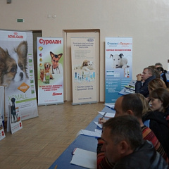 Семинар Кубанской гильдии практикующих ветеринарных врачей