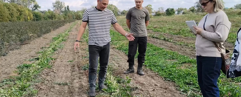 От теории к практике