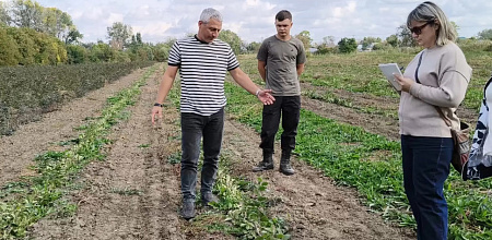 От теории к практике