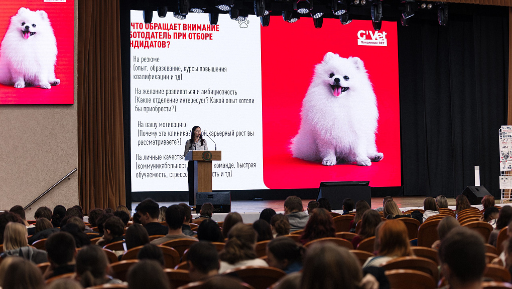 Поколение VET»: курс на профессионализм