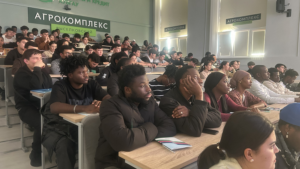 Первые шаги иностранца в Краснодарском крае: гайд по адаптации