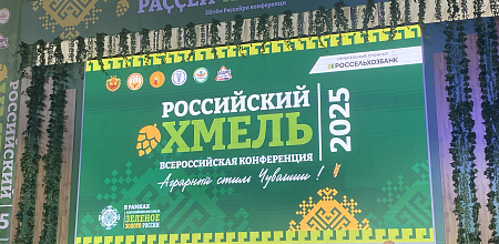 Хмель – перспективная культура для региона