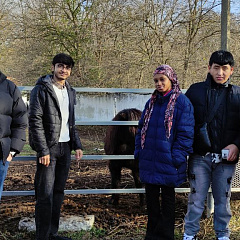 Путешествие иностранцев в конноспортивный клуб