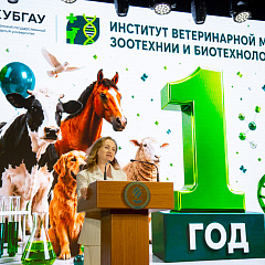 Первый год большого пути 