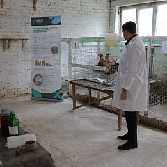 Студенты КУБГАУ изучили методологию научных опытов в Краснодарском научном центре по зоотехнии и ветеринарии