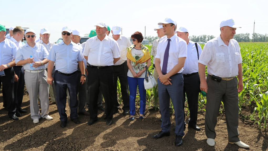 В учебном хозяйстве «Кубань» прошел День поля