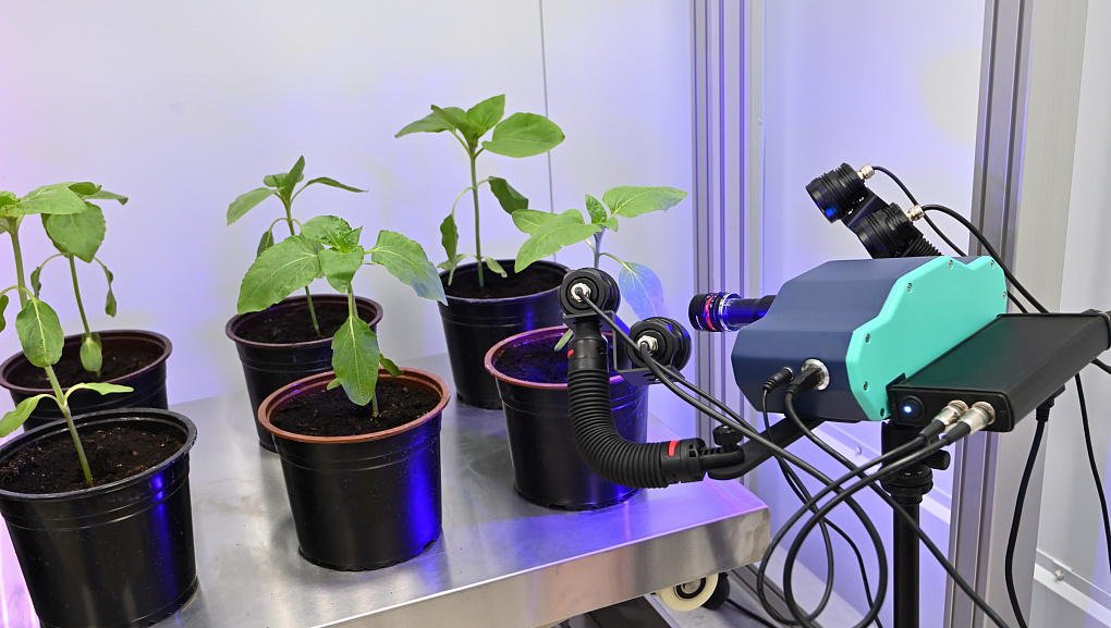 Делегация Кубанского ГАУ приняла участие в выездном совещании главы Минсельхоза РФ в Адыгее