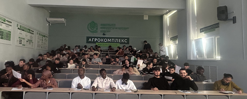 Первые шаги иностранца в Краснодарском крае: гайд по адаптации