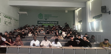 Первые шаги иностранца в Краснодарском крае: гайд по адаптации