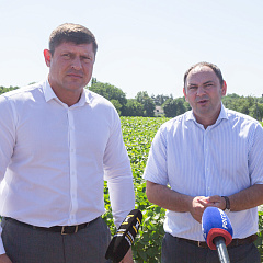 Мэр Краснодара Андрей Алексеенко посетил учхоз «Кубань» во время жатвы