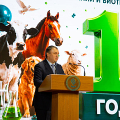 Первый год большого пути 