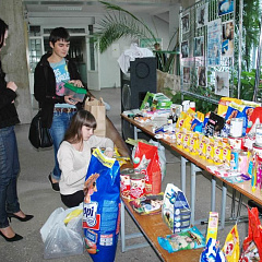 Итоги акции сбора помощи приюту «Краснодог»