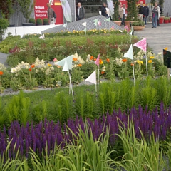 Международная садоводческая выставка «Флориада-2012»