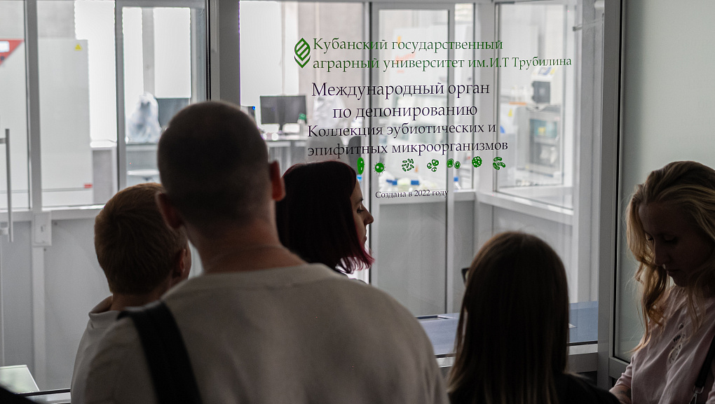 В КУБГАУ обсудили актуальные вызовы ветеринарии