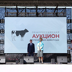 КубГАУ принял участие во II Всероссийском аукционе племенных животных