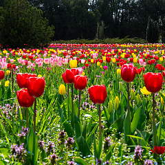 Пять дней погружения в науку